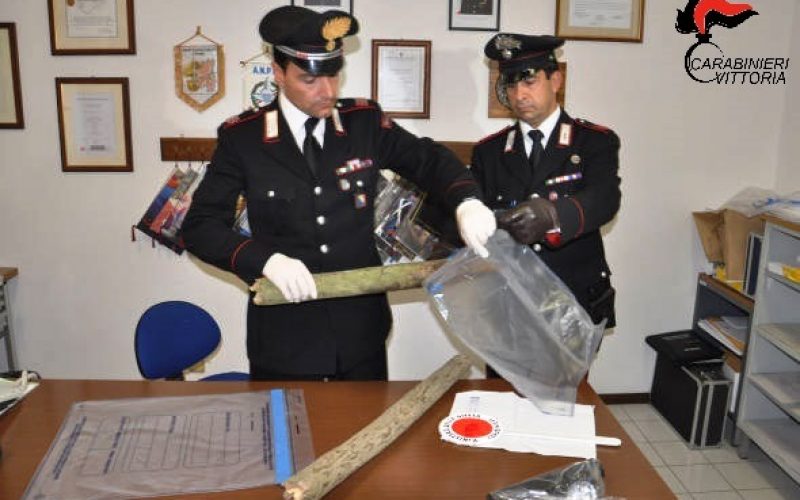 Bastonate tra pastori a Vittoria, romeno in gravi condizioni. Due arresti