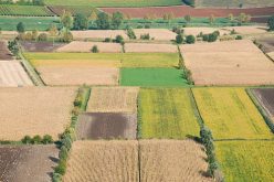 Agricoltura: tutte le novità del Psr 2014-2020 saranno illustrate sabato pomeriggio a Ragusa in un convegno del Pd
