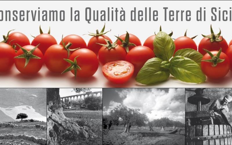 “Conserviamo la qualità delle Terre di Sicilia”: così Conserve di Sicilia di Giuseppe Rosso lancia due prodotti innovativi dedicati al territorio