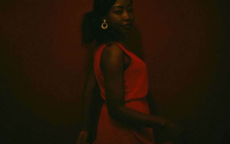 Les panthères rouge, una mostra a Vittoria