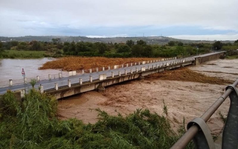 Nel siracusano esonda il San Leonardo, danni ad agrumeti, uliveti e ortaggi. FOTO