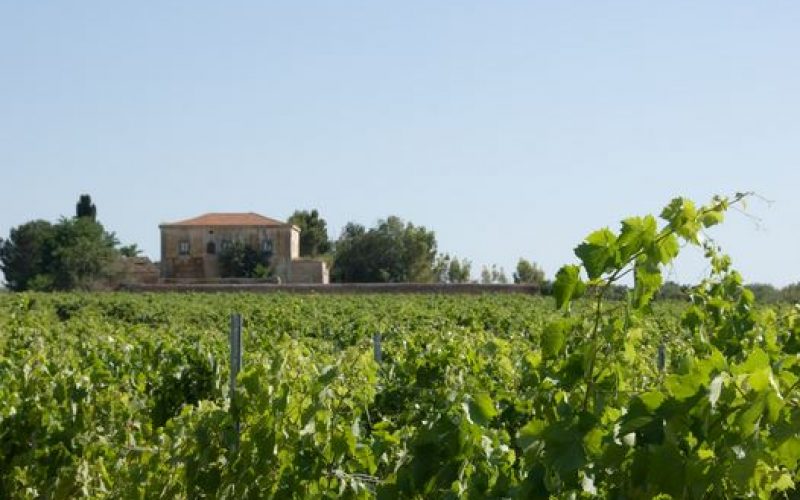 Comiso: Avide Vigneti&Cantine al Merano Wine Festival