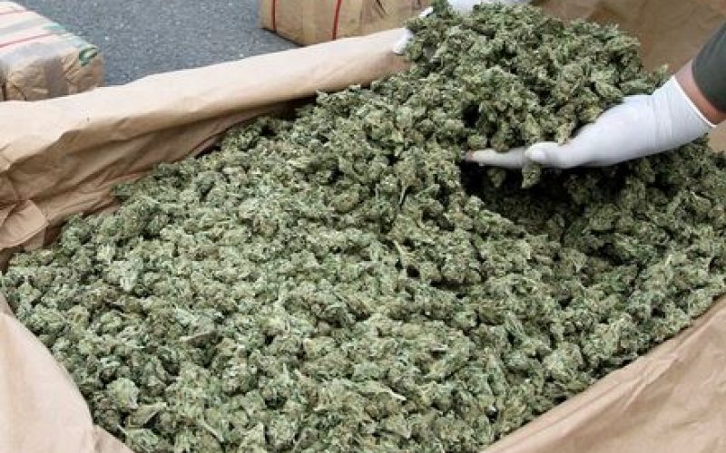 3 kg di marijuana sequestrati al porto di Pozzallo
