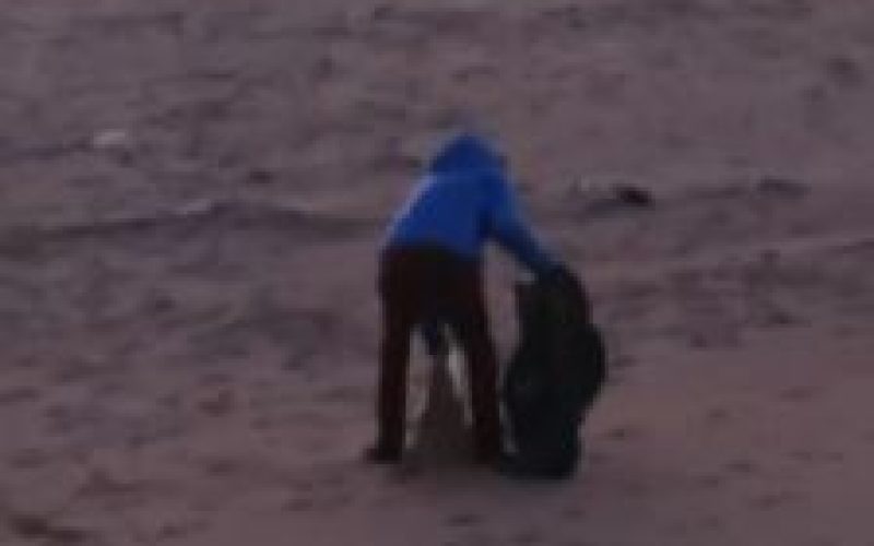 Quella donna solitaria che pulisce la spiaggia di Scoglitti. VIDEO