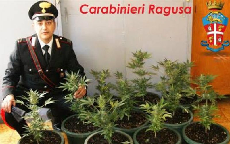 Coltivava marijuana nella diga di Santa Rosalia, arrestato