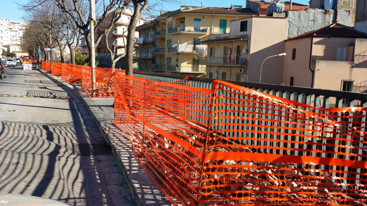 “Rimossi gli alberi di viale Colajanni a Ragusa. Ma li sostituiranno?”