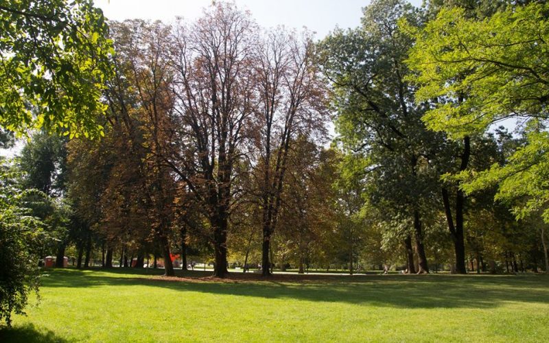 Ambiente: le best practice nel green e la filiera del paesaggio. Esperti a confronto a Cremona