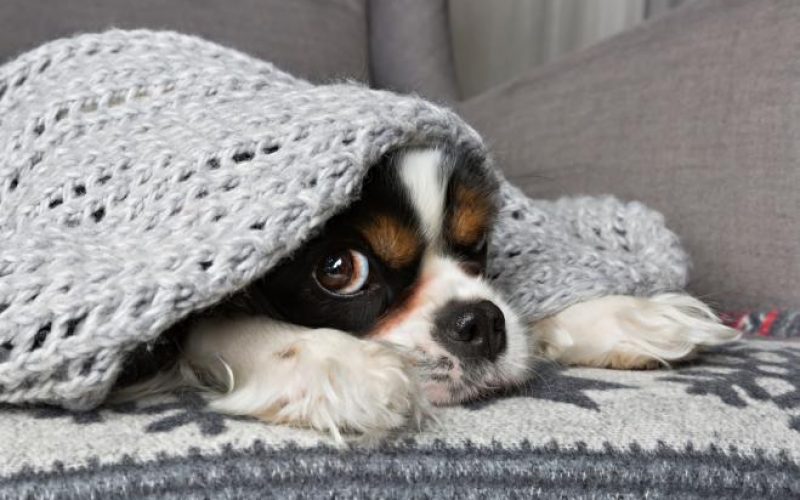 Addio belle giornate, da martedì torna il freddo