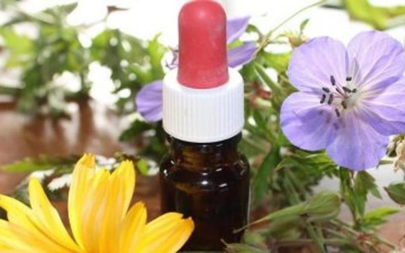 Giornata mondiale della medicina omeopatica: controlli gratuiti al Maria Paternò Arezzo