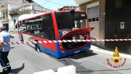 bus