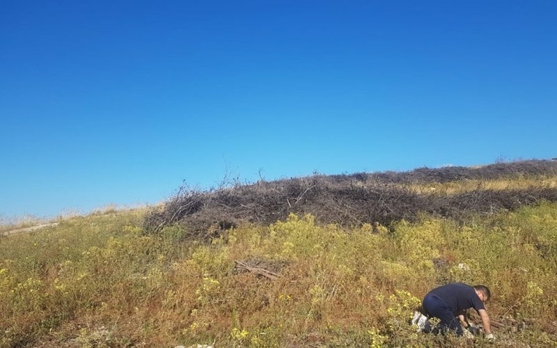 Chiaramonte non dimentica: 30 alberi di quercia per ricordare l’incendio del 30 giugno. FOTO