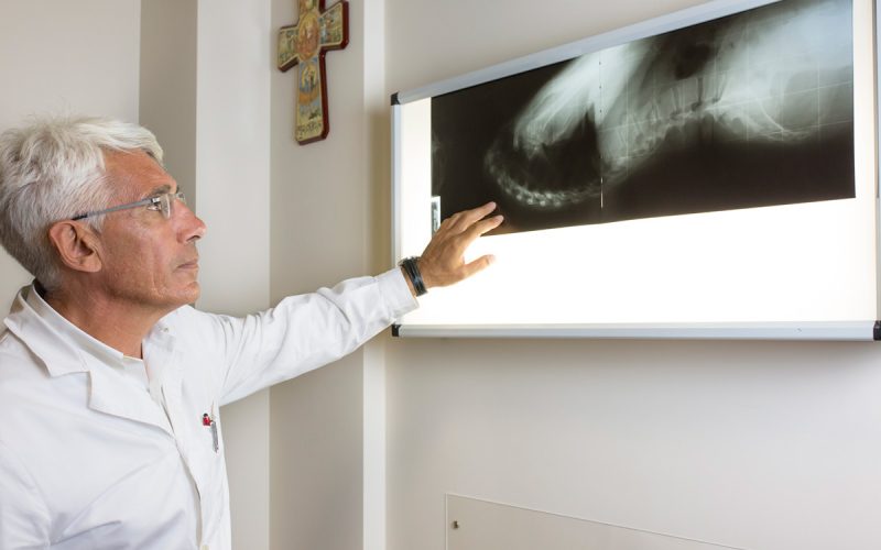 Dottor Giorgio Sallemi, specialista in ortopedia: “Vi racconto il mio lavoro”