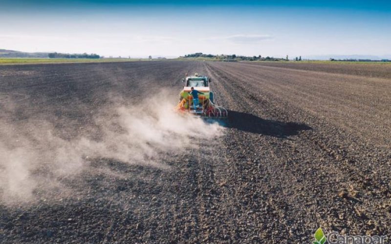 Emendamento Finanziaria, Canapar: consentirebbe la legittimazione del comparto agricolo e industriale della canapa