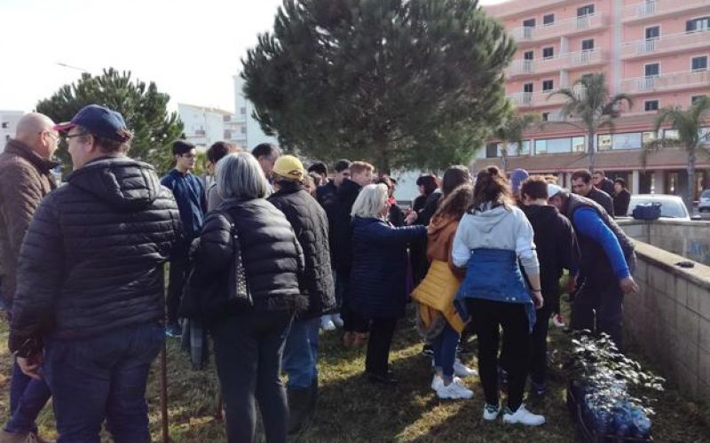 Modica: trenta alberi di querce per la giornata nazionale degli Alberi