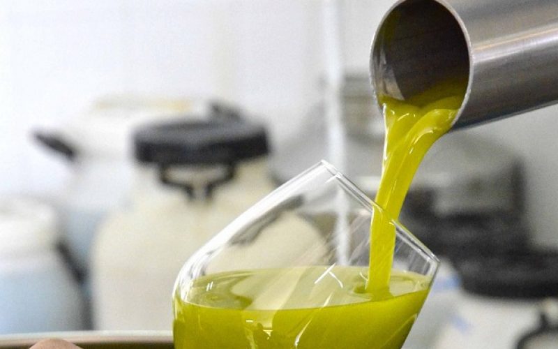 L’annata dell’olio Dop Monti Iblei: qualità eccelsa, ma quantitativo in calo