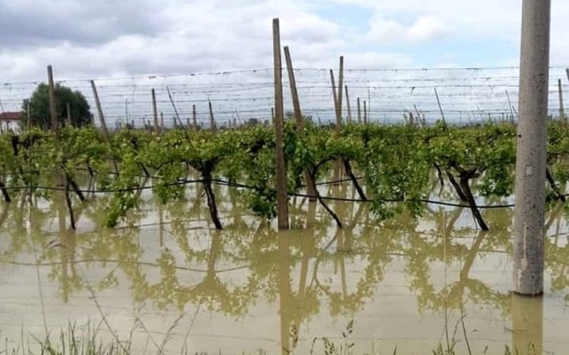 Agricoltura: nel ragusano e nel siracusano danni per circa 350 milioni di euro causati dal maltempo