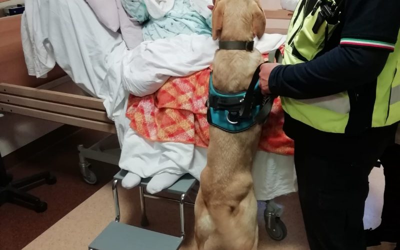 All’Hospice di Modica, arrivano i “Terapisti a quattro zampe”