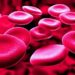 A San Valentino la direzione strategica dell’Asp dona il sangue