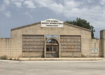 Muletto schiaccia operaio al mercato ortofrutticolo di Donnalucata: muore Guglielmo Paolello