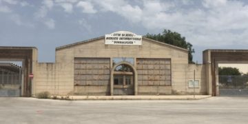 Muletto schiaccia operaio al mercato ortofrutticolo di Donnalucata: muore Guglielmo Paolello