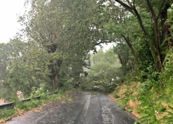 Alberi e pali caduti: interventi per il maltempo a Ragusa e a Comiso