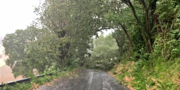 Alberi e pali caduti: interventi per il maltempo a Ragusa e a Comiso