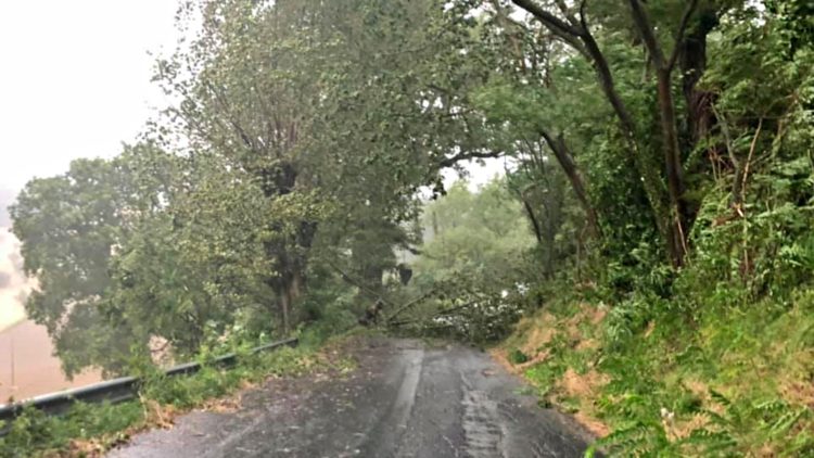 Alberi e pali caduti: interventi per il maltempo a Ragusa e a Comiso
