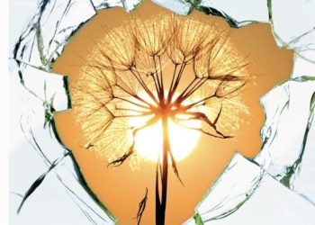 Pastorale della Salute: sul sito della Diocesi una pagina dedicata alle informazioni sul virus Covid-19