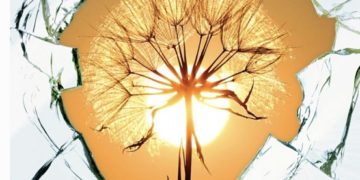 Pastorale della Salute: sul sito della Diocesi una pagina dedicata alle informazioni sul virus Covid-19