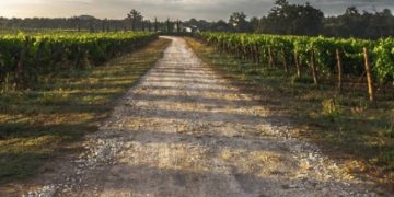 Mercati chiusi e commesse estere annullate: la psicosi da Coronavirus colpisce le aziende agricole ragusane