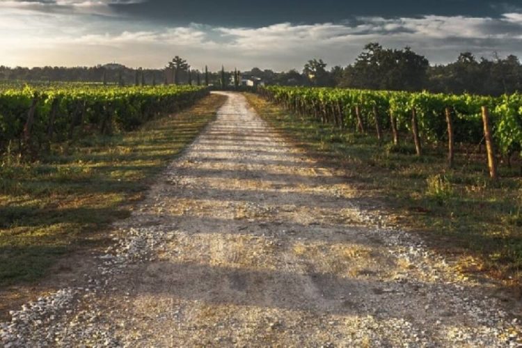 Mercati chiusi e commesse estere annullate: la psicosi da Coronavirus colpisce le aziende agricole ragusane