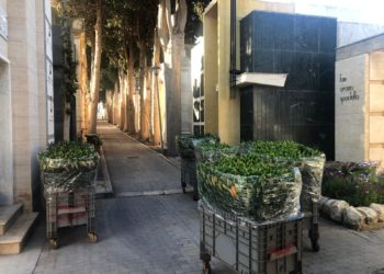 Comiso: due ditte florovivaistiche regalano migliaia di fiori per tombe al cimitero e davanti ai supermercati per i cittadin