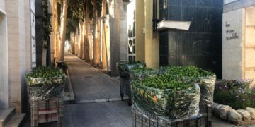 Comiso: due ditte florovivaistiche regalano migliaia di fiori per tombe al cimitero e davanti ai supermercati per i cittadin