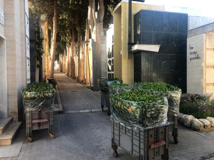 Comiso: due ditte florovivaistiche regalano migliaia di fiori per tombe al cimitero e davanti ai supermercati per i cittadin