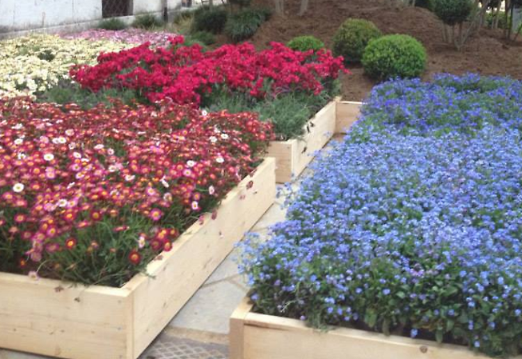 Ragusa: nei mercatini rionali ed a quello del mercoledì sarà consenta la vendita di piante e fiori