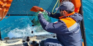 Santa Croce: pesca illegale di ricci di mare