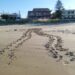 La tartaruga Caretta Caretta ritorna a deporre le uova nella spiaggia di Donnalucata. FOTO