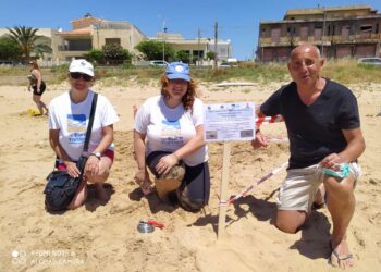 La tartaruga Caretta Caretta ritorna a deporre le uova nella spiaggia di Donnalucata. FOTO