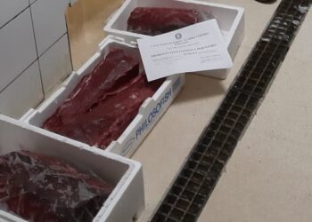 Tonno rosso di provenienza sconosciuta sequestrato a Ispica