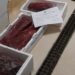 Tonno rosso di provenienza sconosciuta sequestrato a Ispica