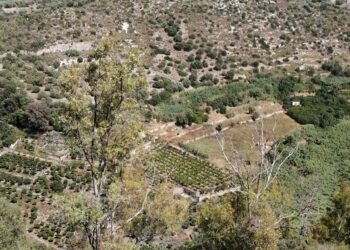 Ha scavalcato la ringhiera la donna caduta nel burrone a Vittoria