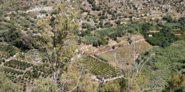 Ha scavalcato la ringhiera la donna caduta nel burrone a Vittoria