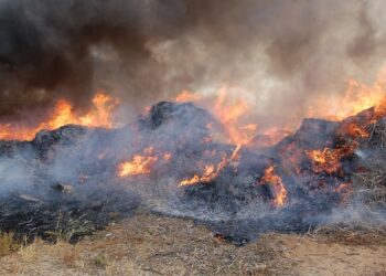 Fumarole abusive nel ragusano: denunciati 4 produttori agricoli e diffidati altri 12