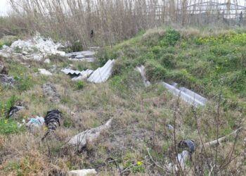 Si ripuliscono dai rifiuti pericolosi e non, le strade provinciali ed extraurbane
