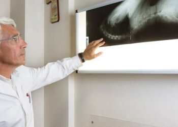 “Grandi, siete grandi”. La lettera di una paziente che ringrazia di cuore i medici del reparto di Ortopedia dell’Ospedale di Ragusa