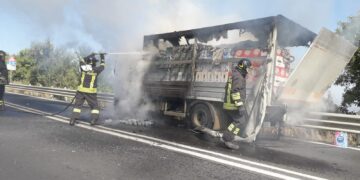A fuoco un autocarro sulla SS. 514. Nessun ferito