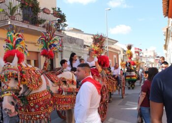 Annullata la Sagra della Vendemmia di Pedalino