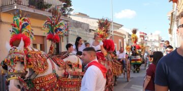 Annullata la Sagra della Vendemmia di Pedalino