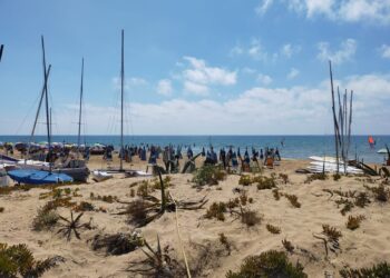 Socio positivo al Circolo Velico, avviata sanificazione: “Il contagio è avvenuto fuori dalla struttura”