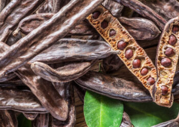 Vittoria: arrestate due persone per furto di carrube